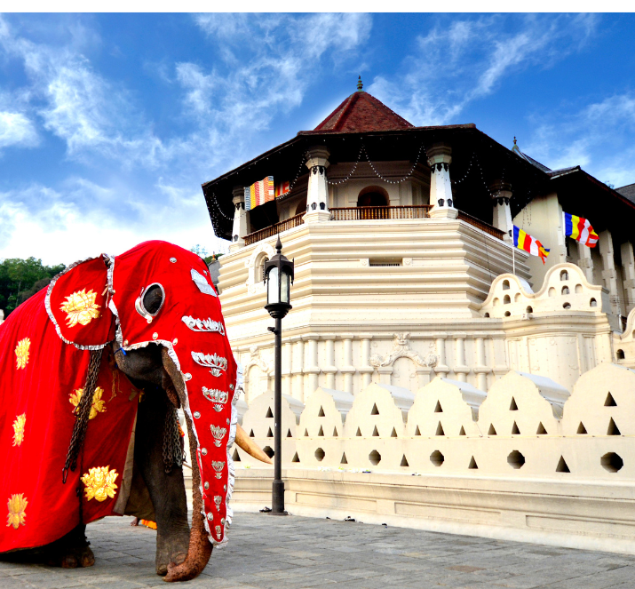 Sri Lanka Holiday